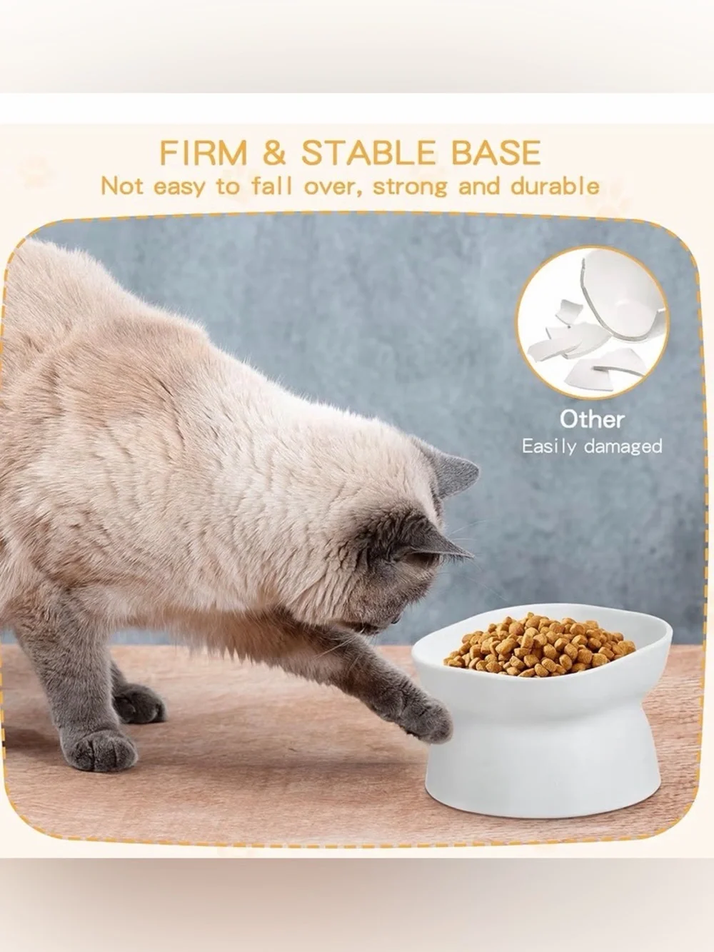 Cat Food and Water Bowls Tilted Elevated Raised Plastic Feeding Dishes Set of 4
